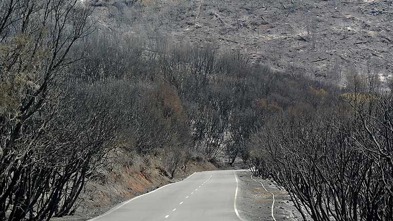 Ya est&aacute; casi controlado el incendio de La Gomera