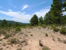 YACIMIENTO REQUENA YACIMIENTO REQUENA
