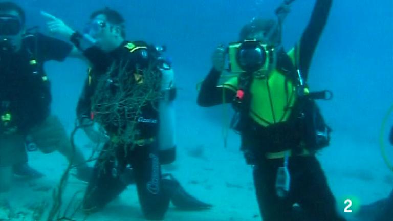 Bubbles - Yap en la micronesia