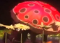Imagen del  v&iacute;deo de Pizzicato en Clan titulado ZING ZING