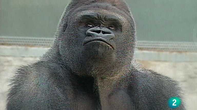 El v&iacute;nculo con la tierra - Zool&oacute;gicos y acuarios