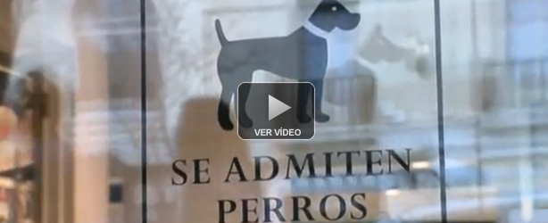 Zoom Tendencias - M&aacute;laga, renueva sus argumentos - 09/02/13