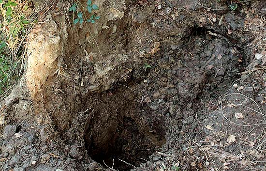 El zulo escond�a 130 kilos de explosivos