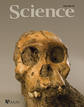 Ir a Fotogaleria &nbsp;El 'Australopithecus sediba', un nuevo 'primo'