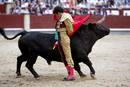 Ir a Fotogaleria &nbsp;Jos&eacute; Tom&aacute;s sufre cuatro cogidas en Las Ventas