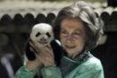 Ir a Fotogaleria &nbsp;La Reina visita a los pandas madrile&ntilde;os