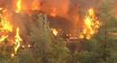 Ir a Fotogaleria &nbsp;Un aficionado fotogr&aacute;fico tom&oacute; las &uacute;ltimas im&aacute;genes del incendio del autob&uacute;s quemado en Israel