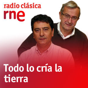 Podcast