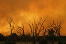 Ir a Fotogaleria &nbsp;Incendio forestal en Arizona