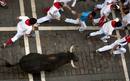 Ir a Fotogaleria &nbsp;Las mejores im&aacute;genes del s&eacute;ptimo encierro de los Sanfermines 2012, de J.P Domecq