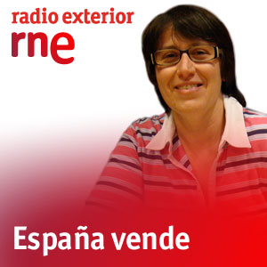Podcast