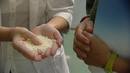 Ir a Fotogaleria &nbsp;Las mejores imagenes de este documental "&iquest;Que hago con la bolsa?"