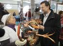 Ir a Fotogaleria &nbsp;La campa&ntilde;a gallega, en im&aacute;genes