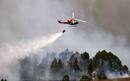 Ir a Fotogaleria &nbsp;El incendio de La Palma en im&aacute;genes