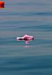 Ir a Fotogaleria &nbsp;Hundimiento de un barco en Macedonia