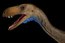Ir a Fotogaleria &nbsp;El Eodromaeus, un pariente del 'Tyrannosaurus rex'