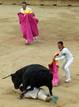 Ir a Fotogaleria &nbsp;Las mejores im&aacute;genes del &uacute;ltimo encierro de San Ferm&iacute;n 2012, en im&aacute;genes