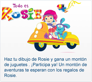 Descripci&oacute;n del concurso