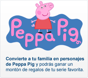 Descripci&oacute;n del concurso