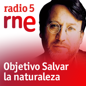 Podcast