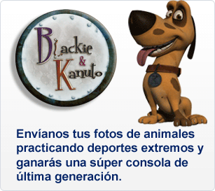 Descripción del concurso