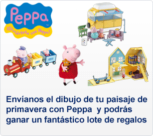 Descripción del concurso