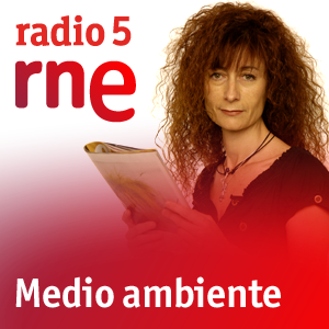 Podcast